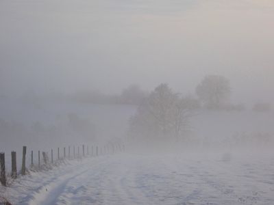 Fog taking over the snowy landscape