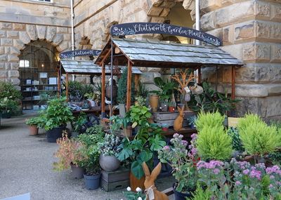 Chatsworth plant stalls