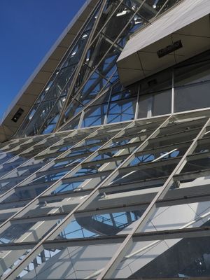 Musée des Confluences