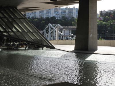 Musée des Confluences