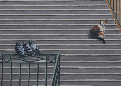 Mur des Canuts - trompe l'oeil