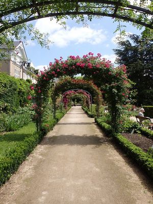 Jardin botanique - rose garden