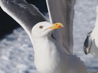 g13/78/1628378/3/174786844.3d6b3aa0.JPEG