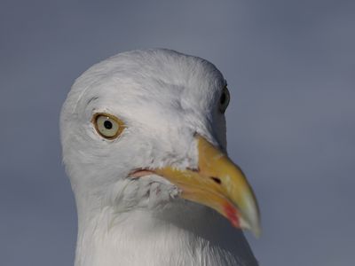 g13/78/1628378/3/174786847.c54a569b.JPEG