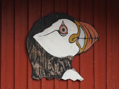 Painted puffin