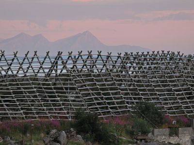 Stockfish racks