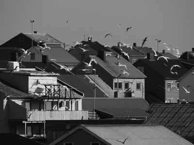 Vardų - near the harbour BW