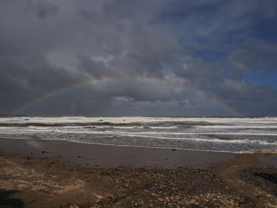 Wild North Sea