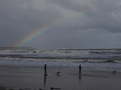 Wild North Sea