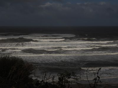 Wild North Sea