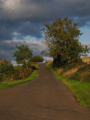 Lane across the North York Moors