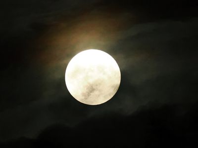 Hunter's Moon