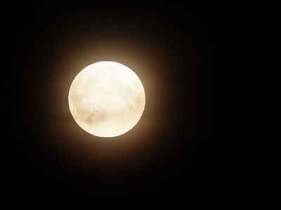 Hunter's Moon