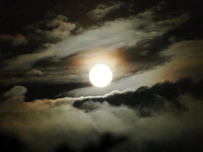 Hunter's Moon