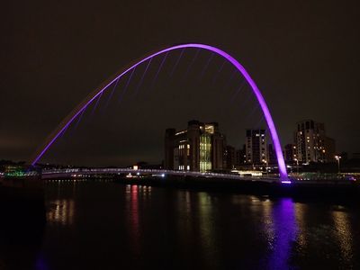 g13/78/1628378/3/175075241.c9984168.JPEG