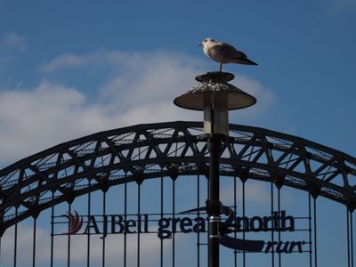 Harbour Master