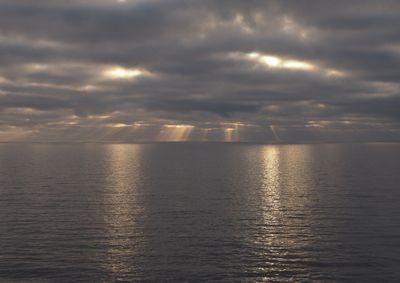 Dawn