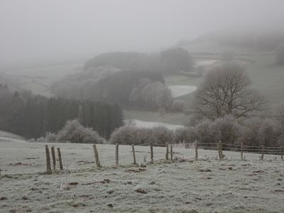 Frosty landscape