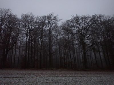 Bleak winter's morning