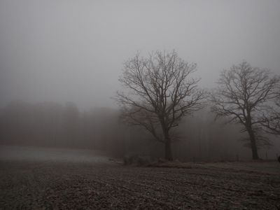 Bleak winter's morning