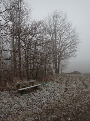 g13/78/1628378/3/175154663.52af4c6f.JPEG