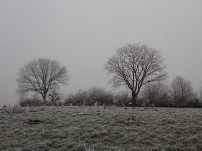 g13/78/1628378/3/175154664.99caaa0e.JPEG
