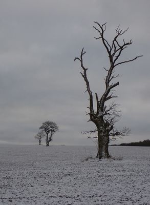 January winter scene
