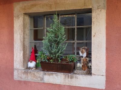 Winter decoration at Mine Cockerill