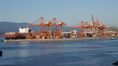 Container shipping harbour