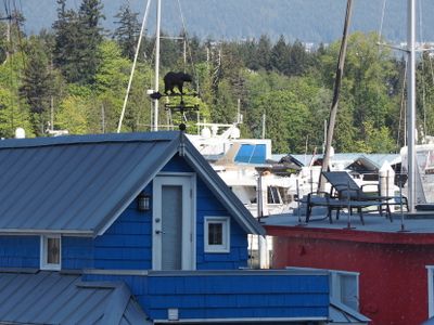 Vancouver Marina - with a bear weather vane