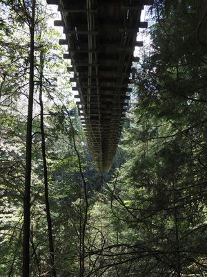 Vancouver - Capilano - suspension bridge from below