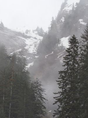 Misty Fjords