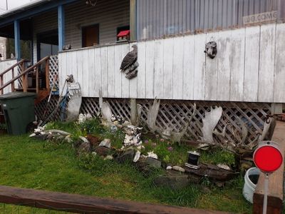 Wrangell - homestead
