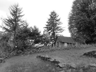 Wrangell - homestead on Petroglyph beach BW