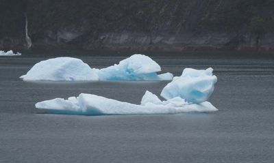 Tracy Arm