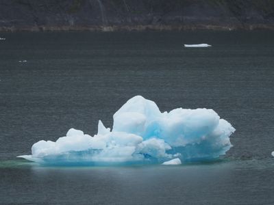 Tracy Arm