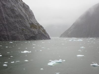 Tracy Arm