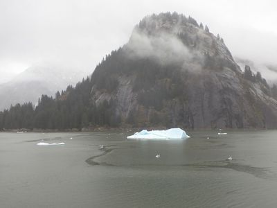 Tracy Arm
