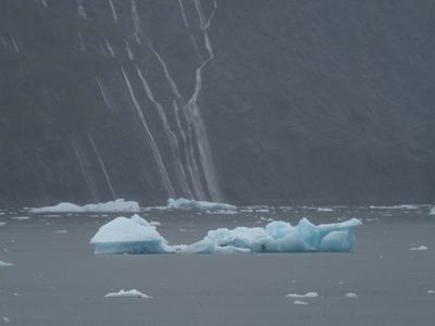 Tracy Arm