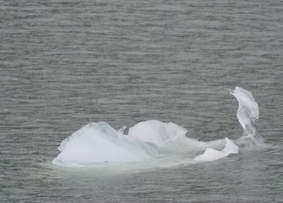 Tracy Arm