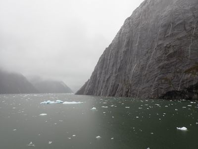Tracy Arm