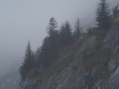 Tracy Arm - harsh conditions for vegetation growth