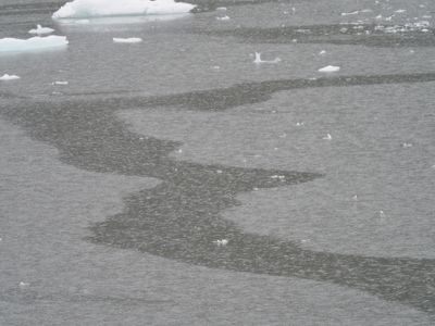 Tracy Arm - ice, currents and rain