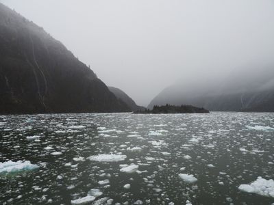 Tracy Arm - floating ice
