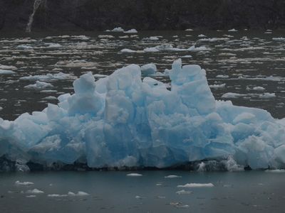 Tracy Arm - floating ice