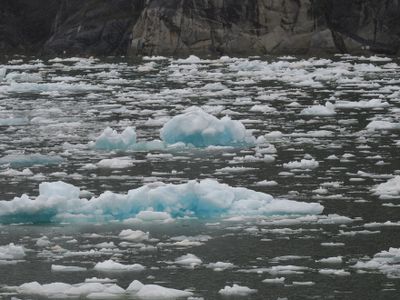 Tracy Arm - floating ice 4.JPG res.JPG
