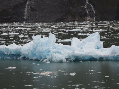Tracy Arm - floating ice