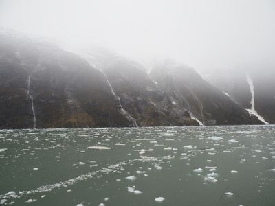 Tracy Arm - floating ice