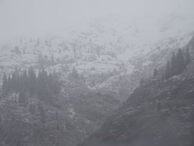 Tracy Arm -fresh snow on the mountain tops