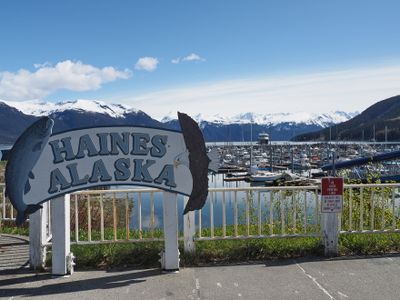 Haines marina with the Roald Amundsen in the background